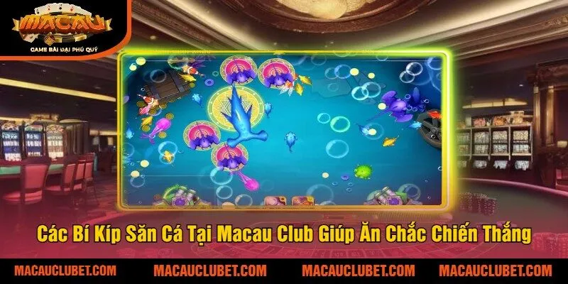 Các Bí Kíp Săn Cá Tại Macau Club Giúp Ăn Chắc Chiến Thắng