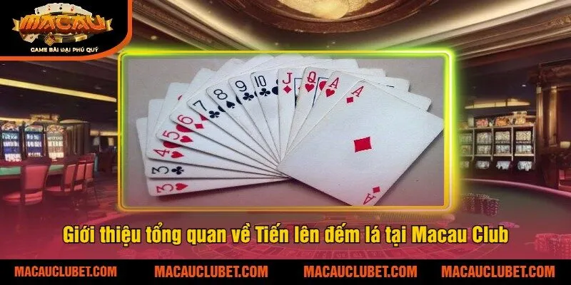 Giới thiệu tổng quan về Tiến lên đếm lá tại Macau Club