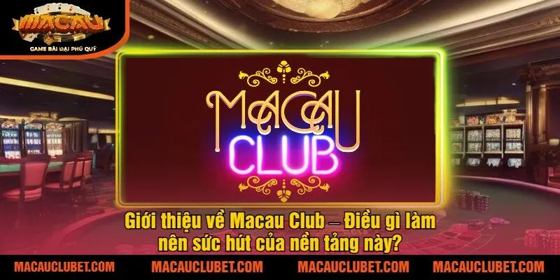 Giới thiệu về Macau Club – Điều gì làm nên sức hút của nền tảng này?