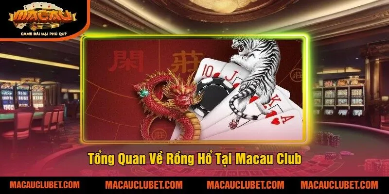Tổng Quan Về Rồng Hổ Tại Macau Club