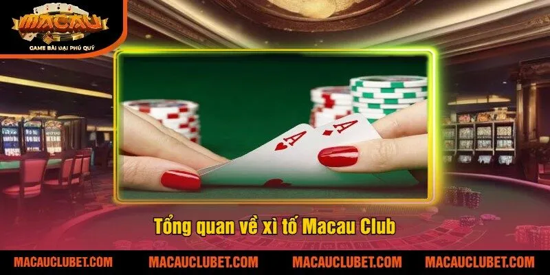 Tổng quan về xì tố Macau Club